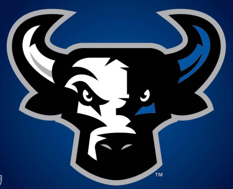 Durham Bulls Perfect Game Baseball Association